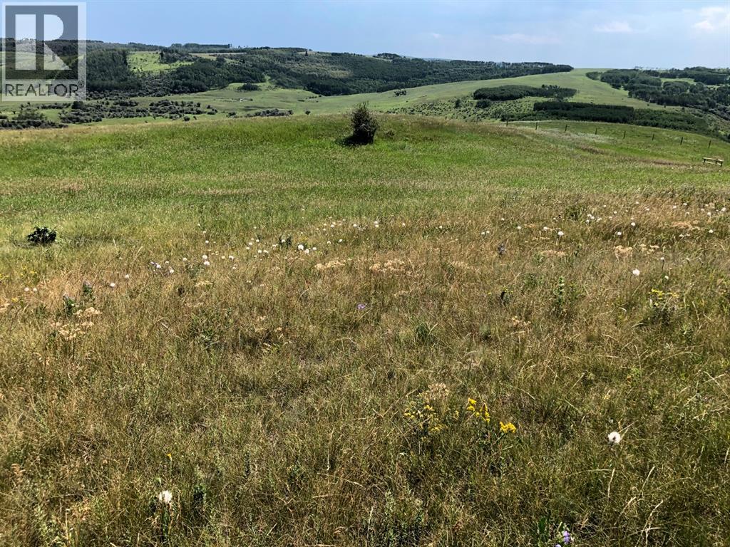 151243 Basin Road, Rural Willow Creek No. 26, Alberta  T0L 1R0 - Photo 4 - A1211593