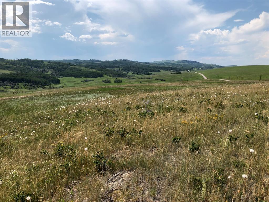 151243 Basin Road, Rural Willow Creek No. 26, Alberta  T0L 1R0 - Photo 6 - A1211593