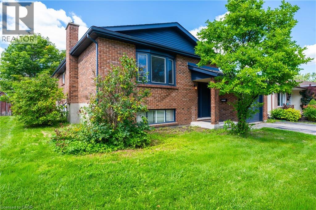 141 Cedar Crest Street, Kitchener, Ontario  N2N 2A6 - Photo 4 - 40864185