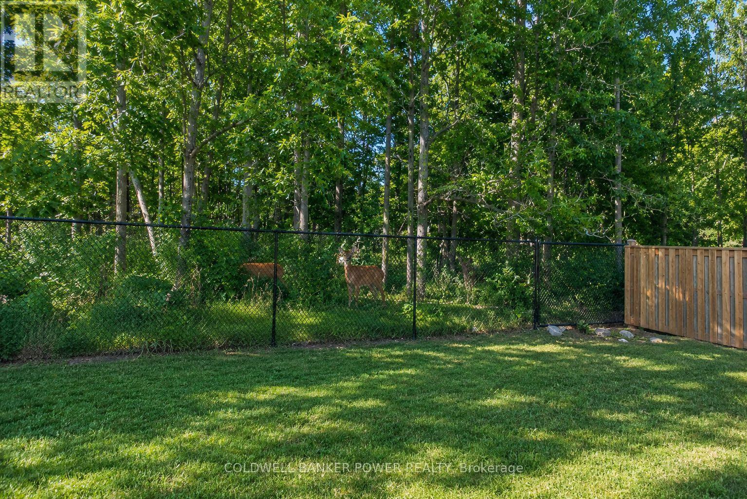 2202 Tripp Drive, London South, Ontario  N6P 0H4 - Photo 43 - X13798904