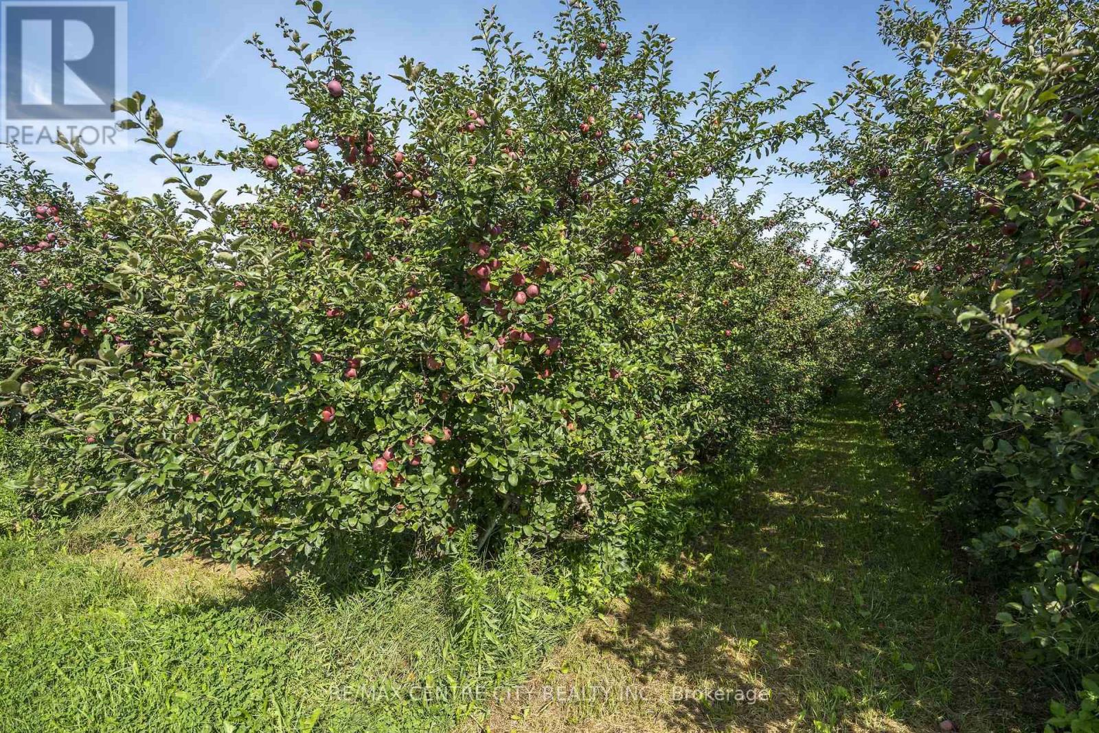1795 Windham Road 11, Norfolk, Ontario  N0E 2A0 - Photo 10 - X13798964