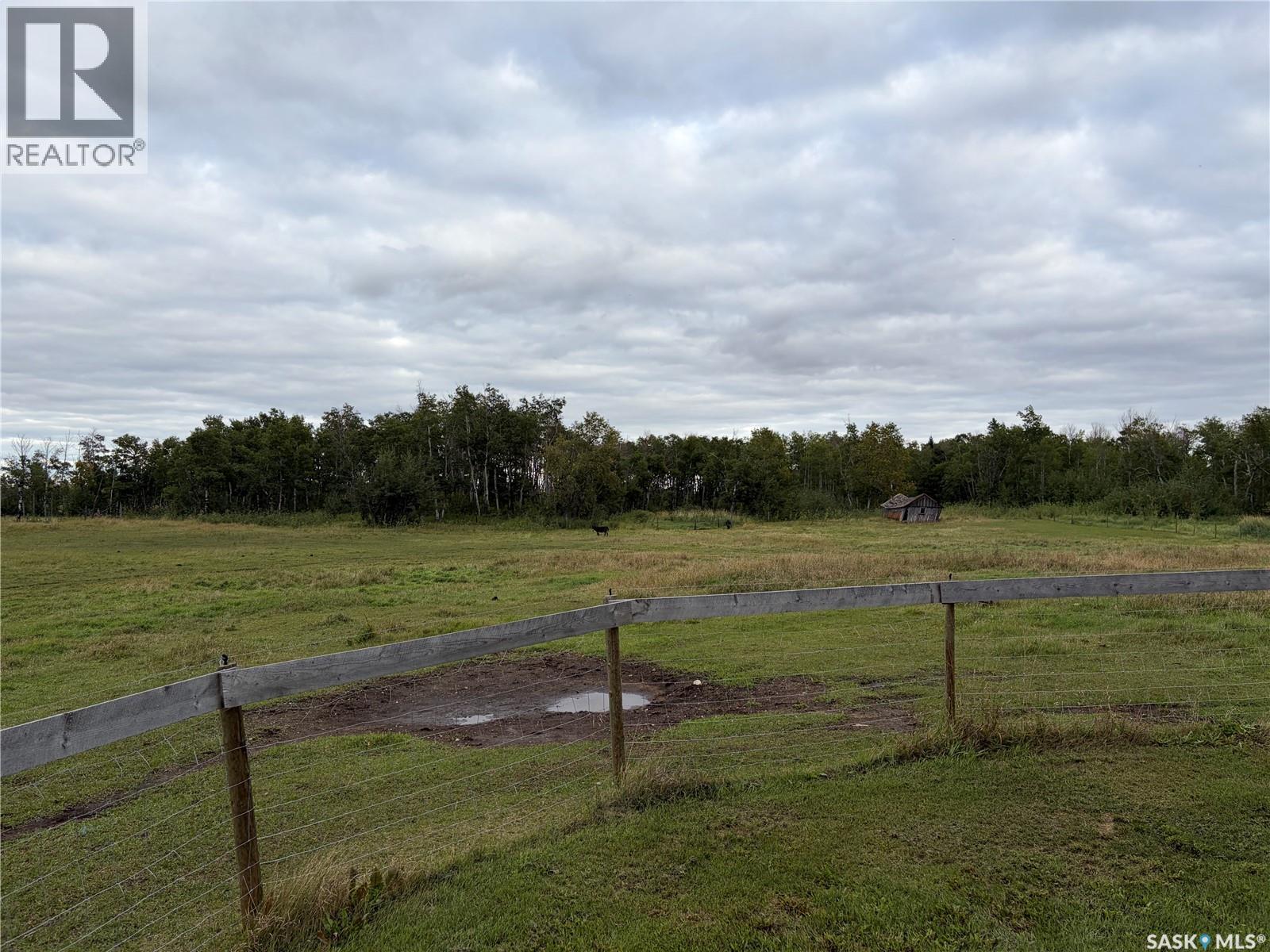 Fleming Acreage, Lakeview Rm No. 337, Saskatchewan  S0E 0X0 - Photo 42 - SK048741