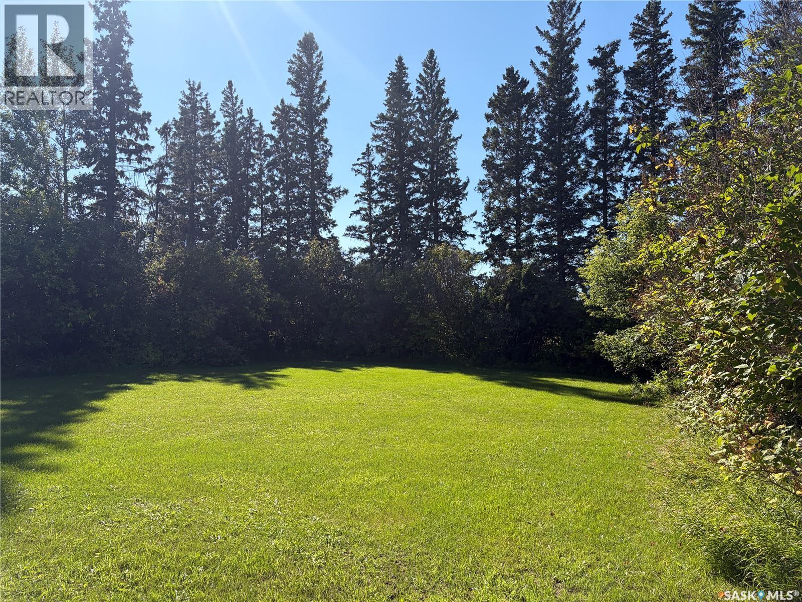 Fleming Acreage, Lakeview Rm No. 337, Saskatchewan  S0E 0X0 - Photo 43 - SK048741
