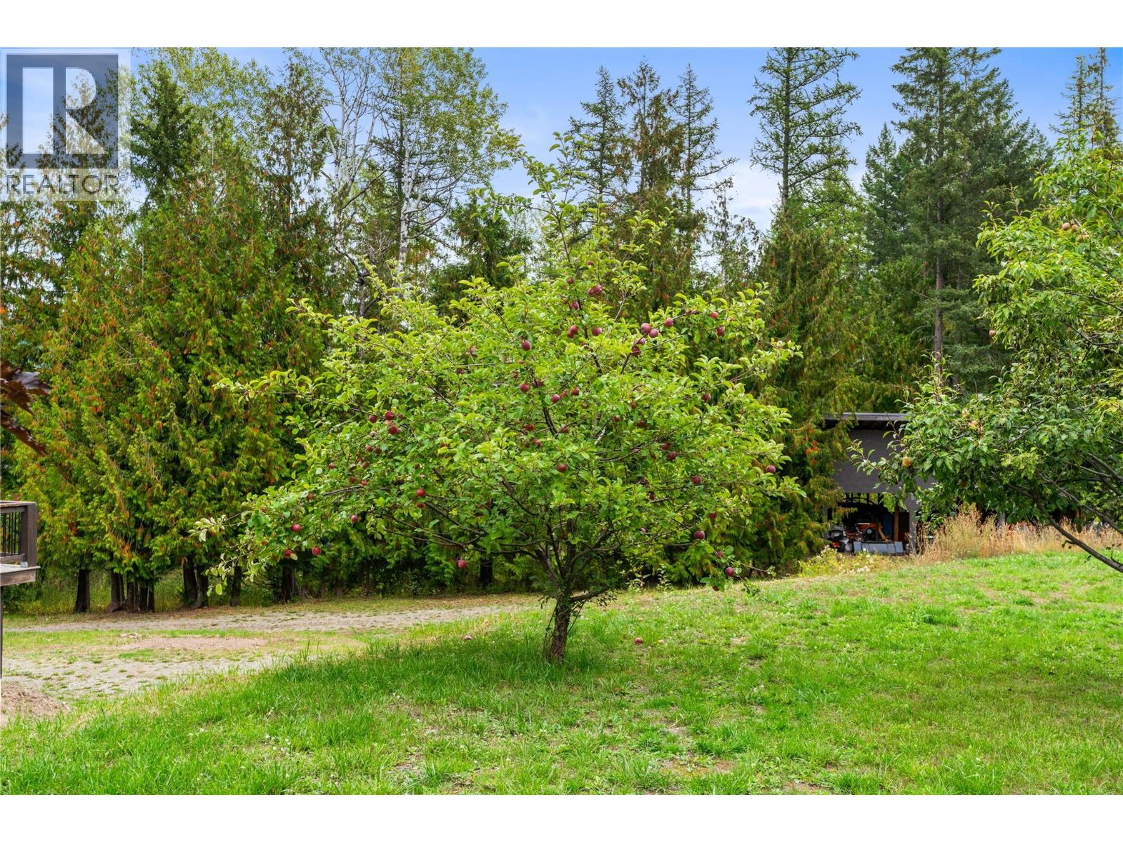 5089a Cedar Hill Road, Falkland, British Columbia  V0E 1W0 - Photo 86 - 10400054
