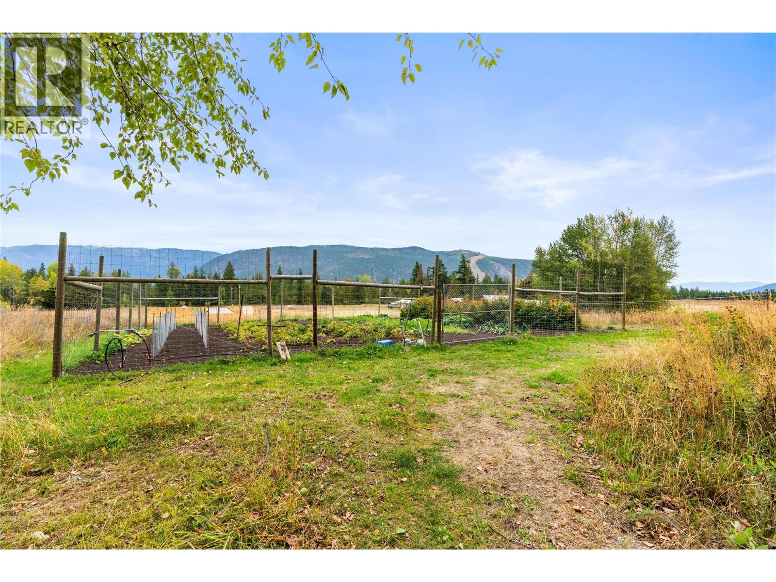 5089a Cedar Hill Road, Falkland, British Columbia  V0E 1W0 - Photo 74 - 10400054