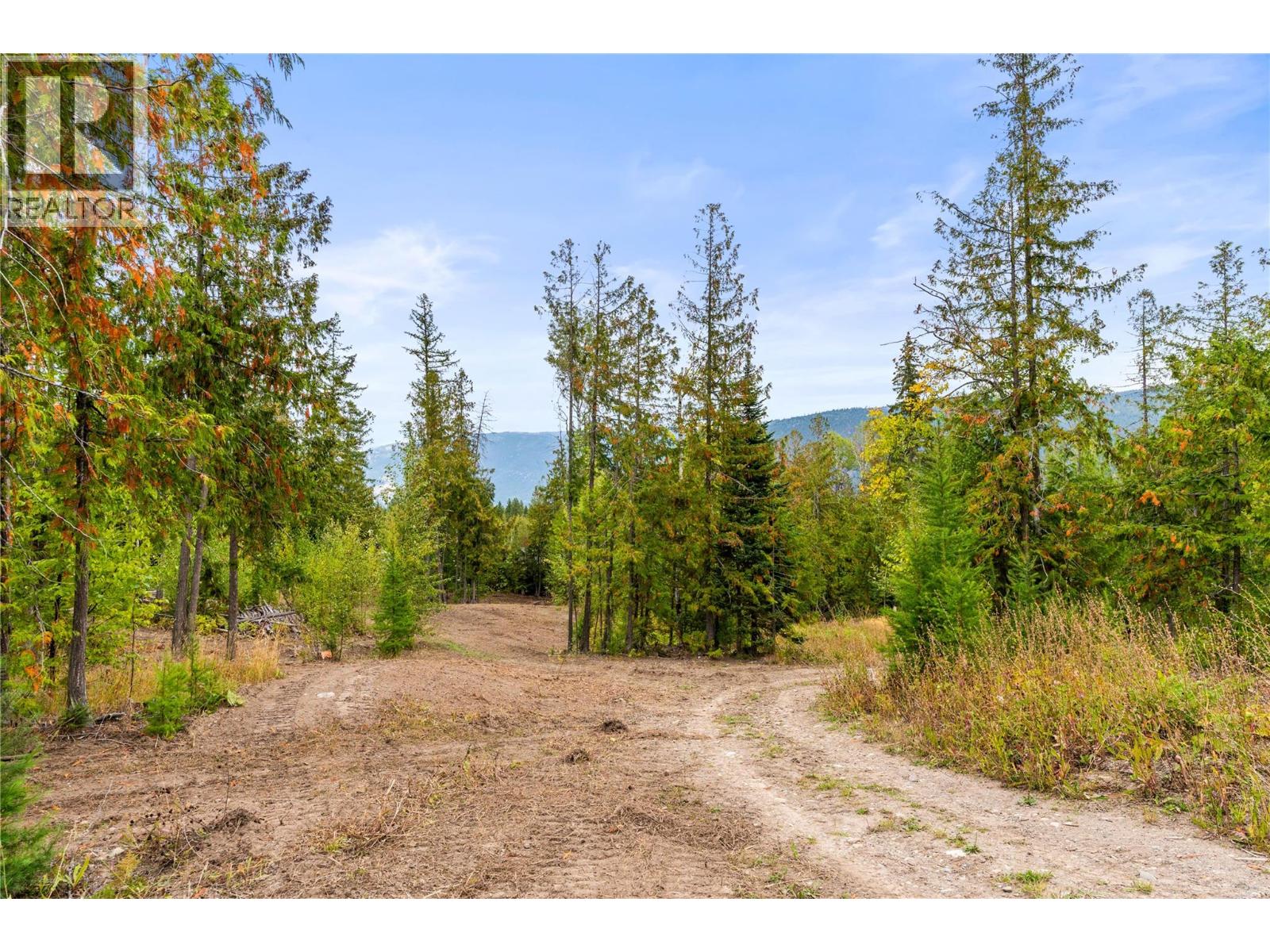 5089a Cedar Hill Road, Falkland, British Columbia  V0E 1W0 - Photo 84 - 10400054