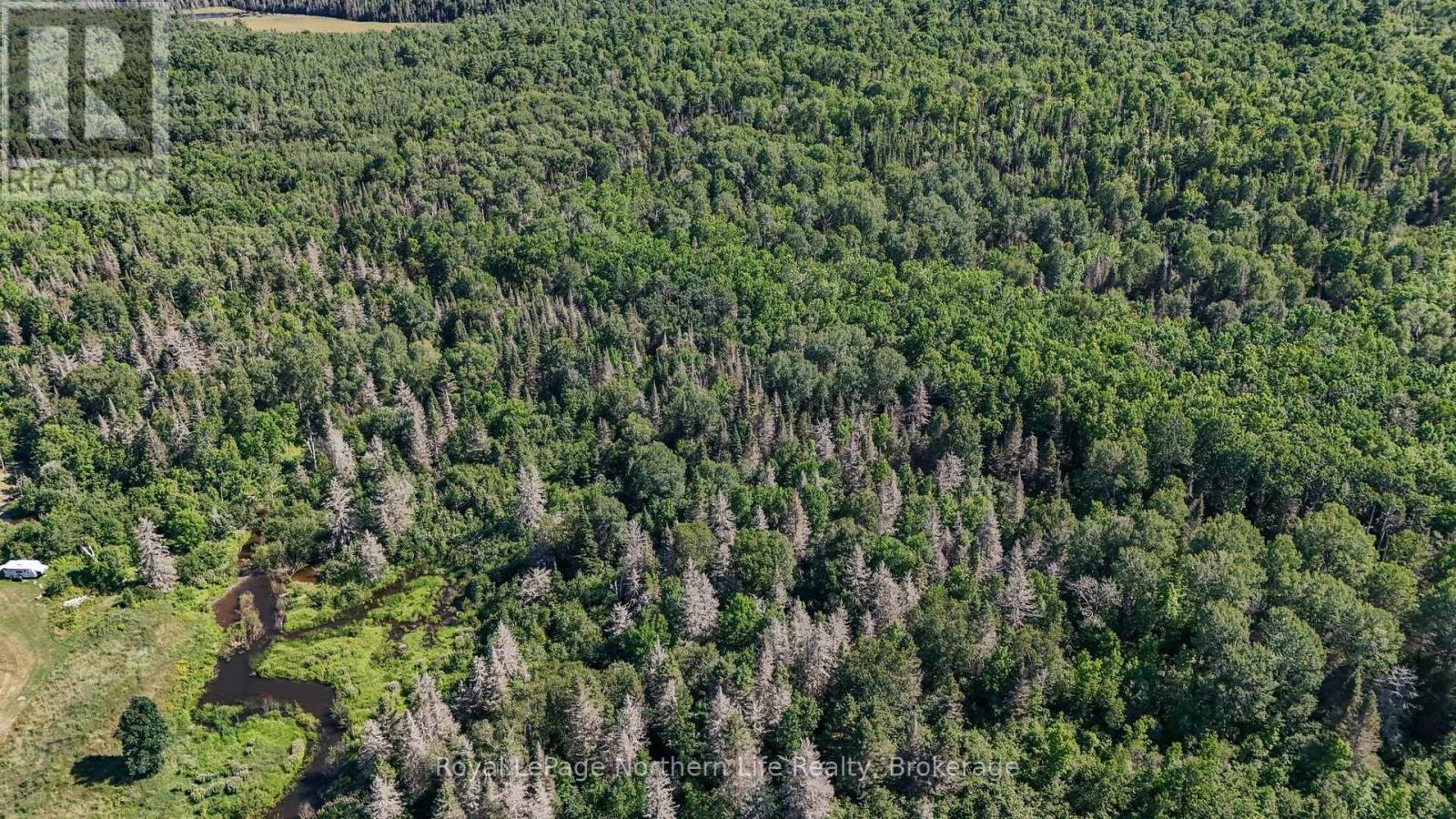 175 Roberts Road, West Nipissing, Ontario  P0H 2C0 - Photo 11 - X13798968