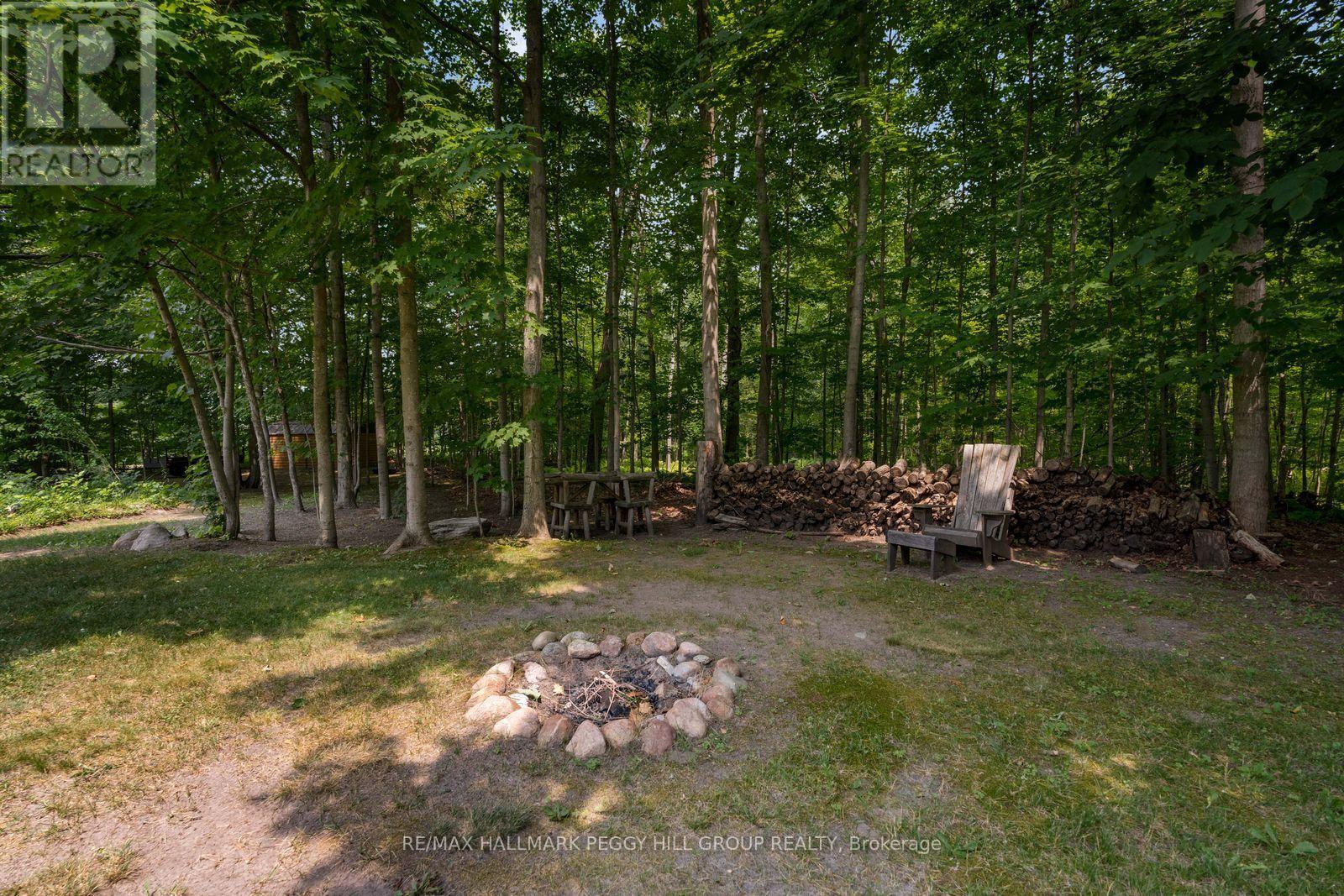 7533 County Road 10, Essa, Ontario  L3W 0T7 - Photo 25 - N13798822