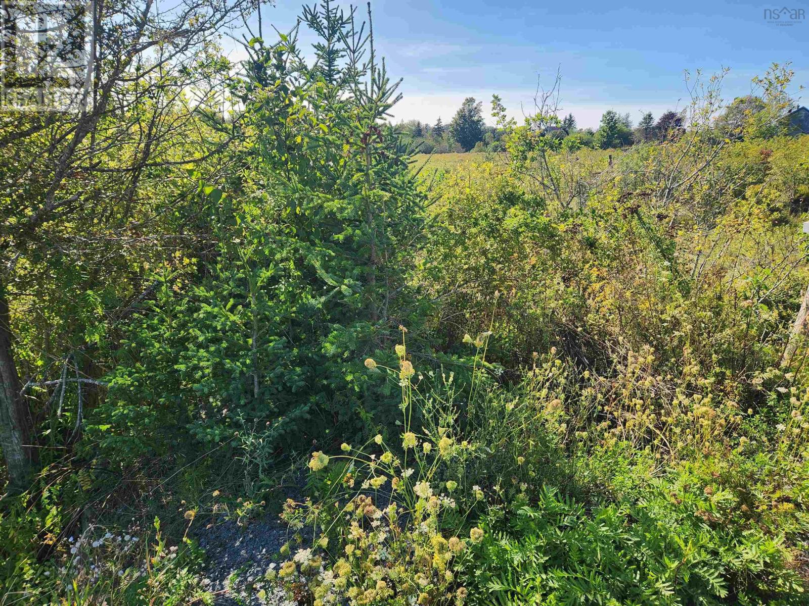 22 Acre 215 Highway, Maitland, Nova Scotia  B0N 1T0 - Photo 7 - 202602413