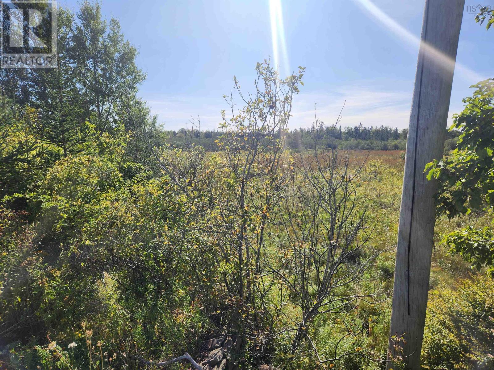 22 Acre 215 Highway, Maitland, Nova Scotia  B0N 1T0 - Photo 4 - 202602413