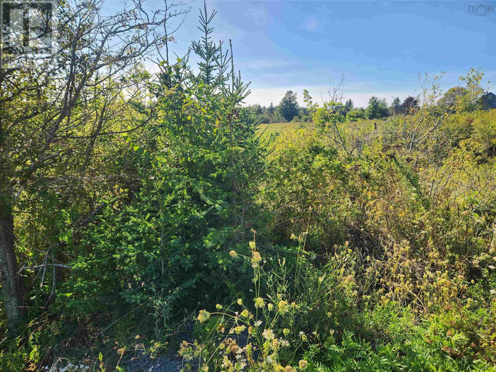 22 Acre 215 Highway, Maitland, Nova Scotia  B0N 1T0 - Photo 8 - 202602413