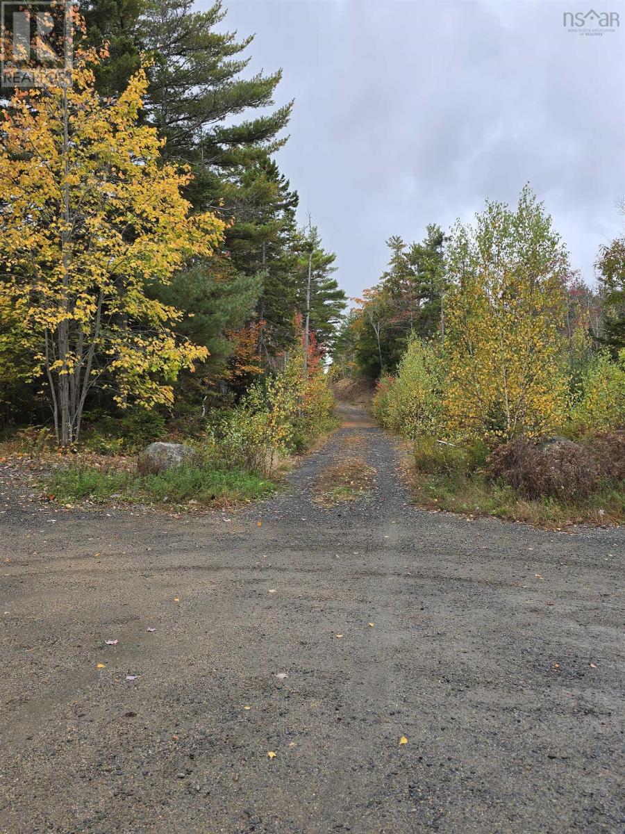 Riverview Drive, Bridgewater, Nova Scotia B4V 3A1 - Photo 2 - 202424418