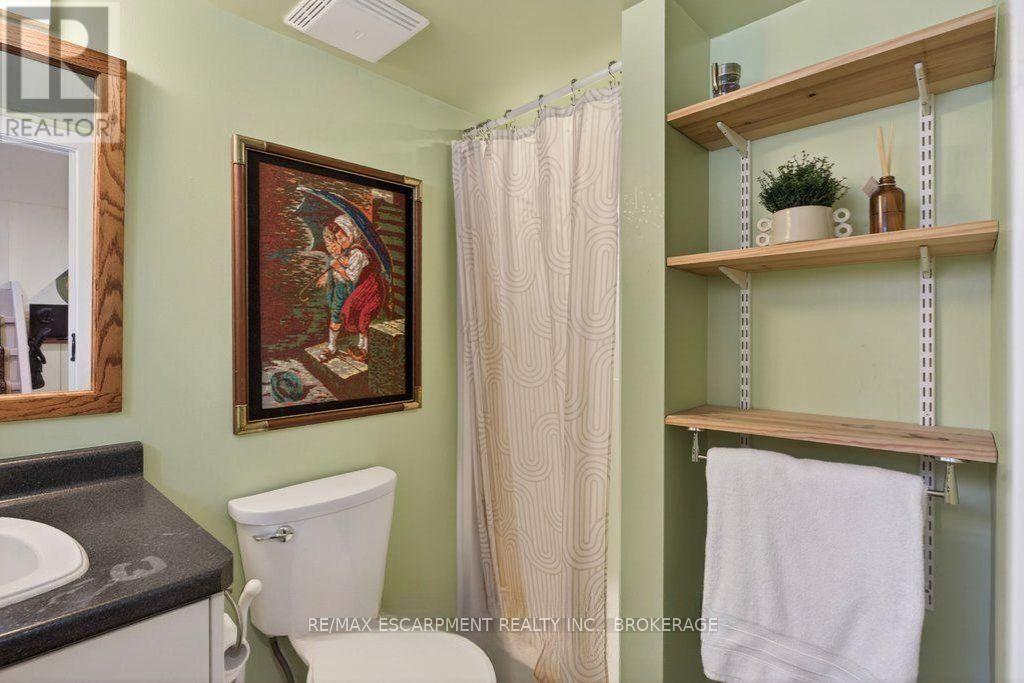 Lower - 269 Stinson Crescent, Hamilton, Ontario  L8N 1T6 - Photo 11 - X13799042