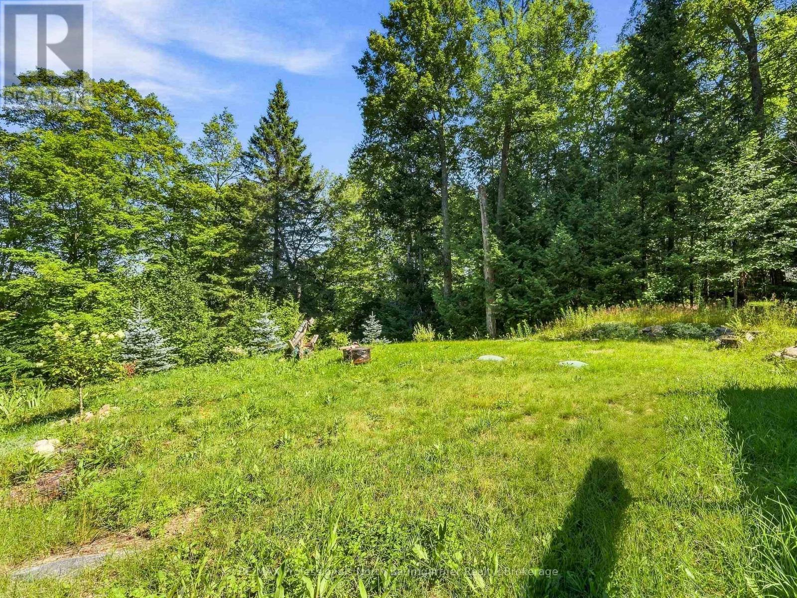 1093 Grace River Road, Highlands East, Ontario  K0L 3C0 - Photo 10 - X13799190