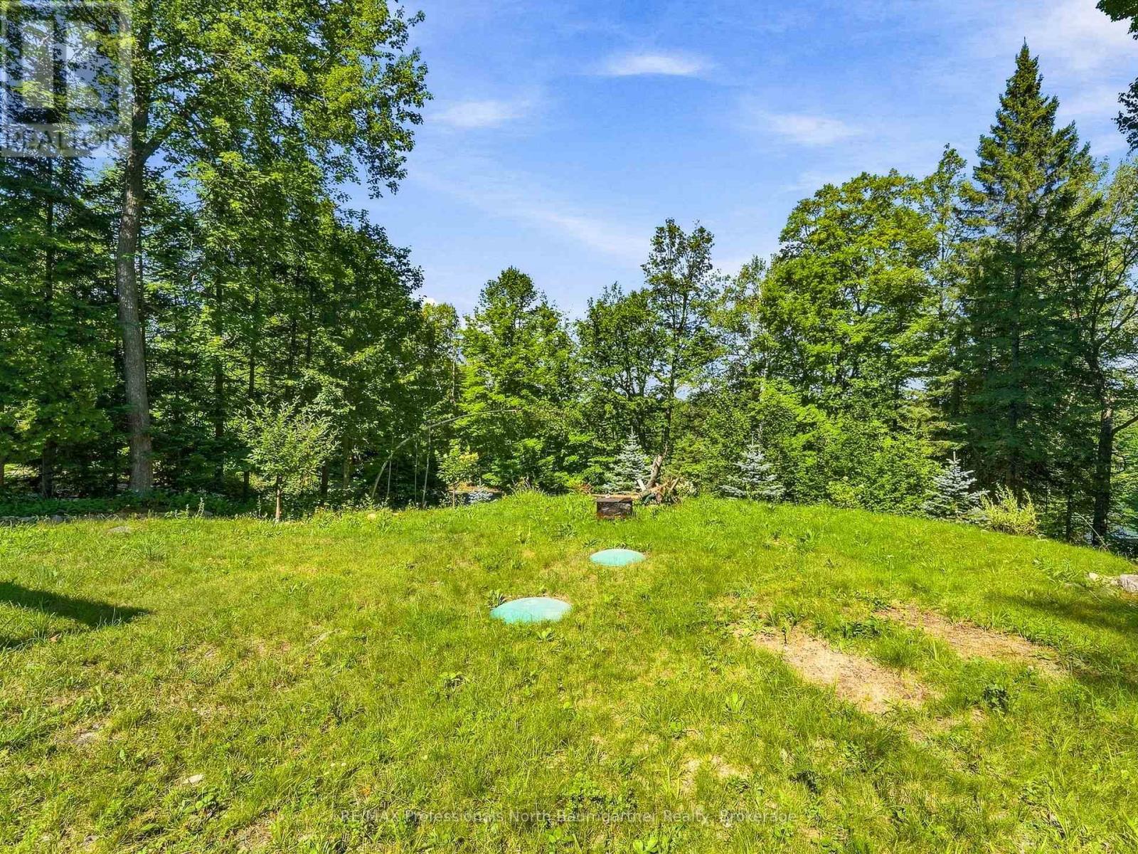 1093 Grace River Road, Highlands East, Ontario  K0L 3C0 - Photo 9 - X13799190