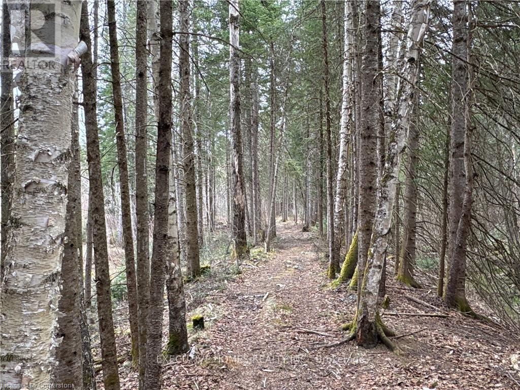 1014 BULRUSH TRAIL, Highlands East, Ontario