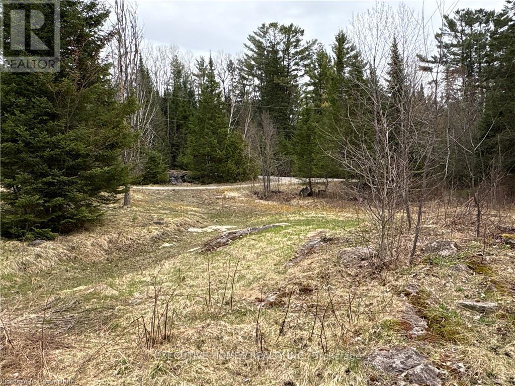 1014 Bulrush Trail, Highlands East, Ontario  K0M 1R0 - Photo 13 - X13799082