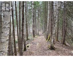 1014 BULRUSH TRAIL, Highlands East, Ontario