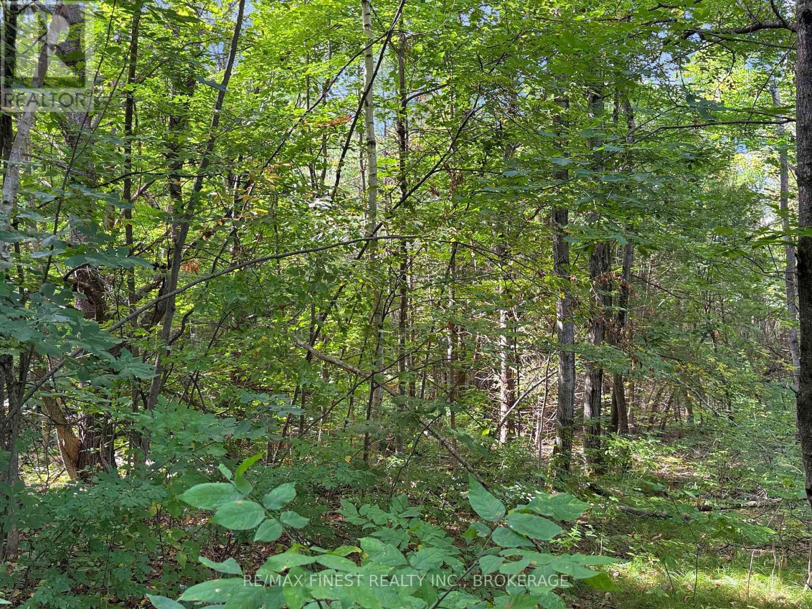 4900 County Rd 4, Stone Mills, Ontario  K0K 1Z0 - Photo 6 - X13792568
