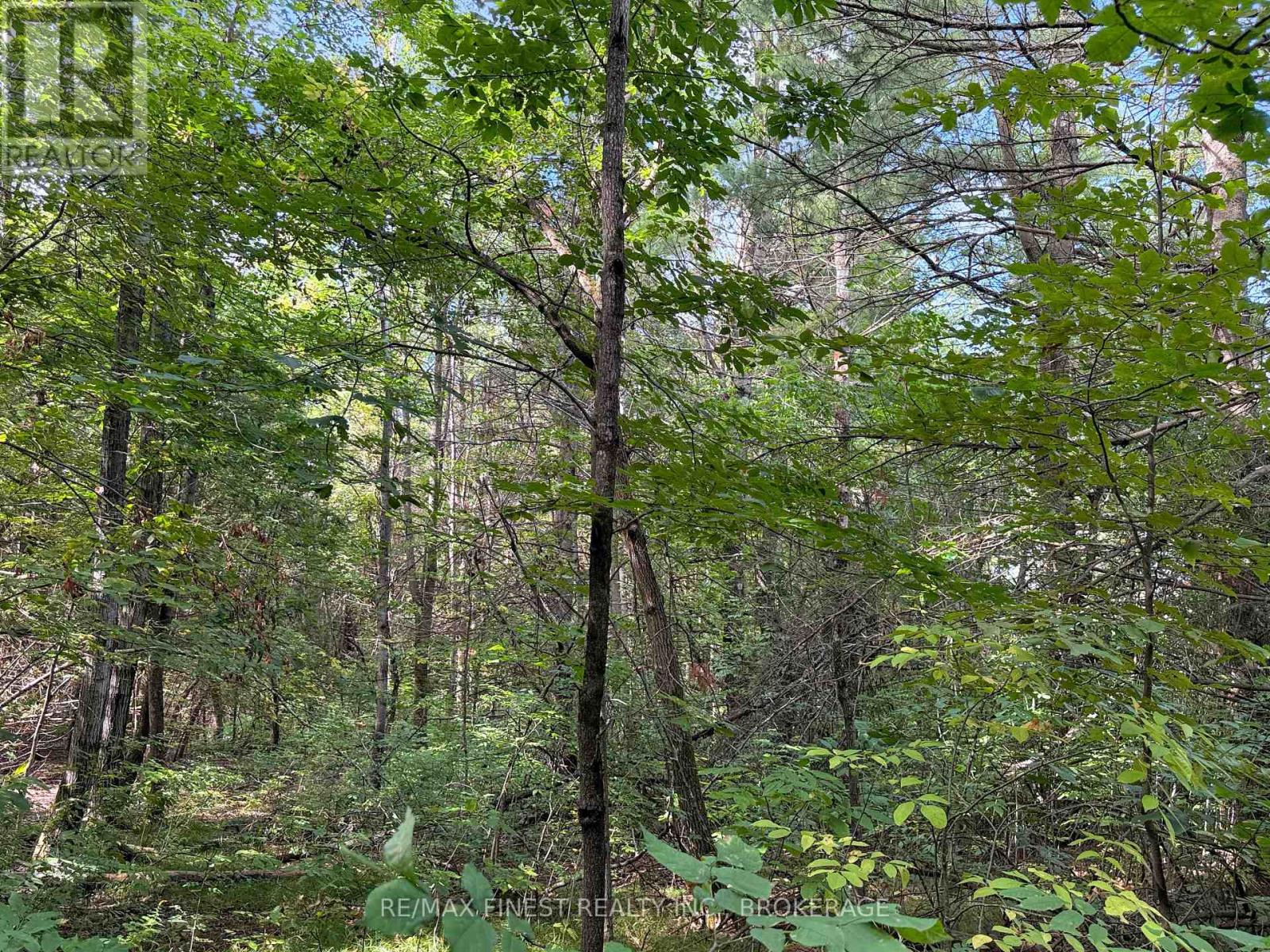 4900 County Rd 4, Stone Mills, Ontario  K0K 1Z0 - Photo 7 - X13792568