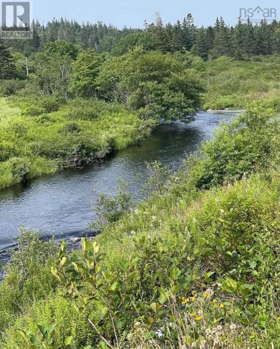 32 Chemin Herb Leblanc Road, Salmon River, Nova Scotia  B0W 2Y0 - Photo 31 - 202616205