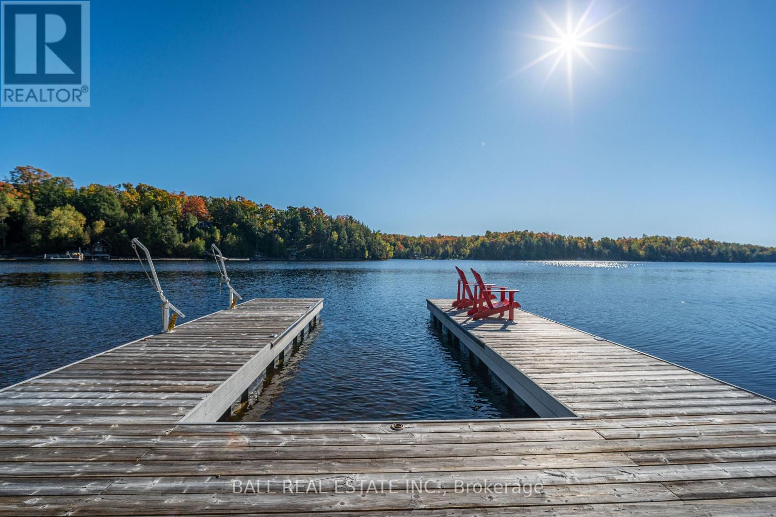 55 Fire Route 209, Trent Lakes, Ontario  K0L 1J0 - Photo 11 - X13799376