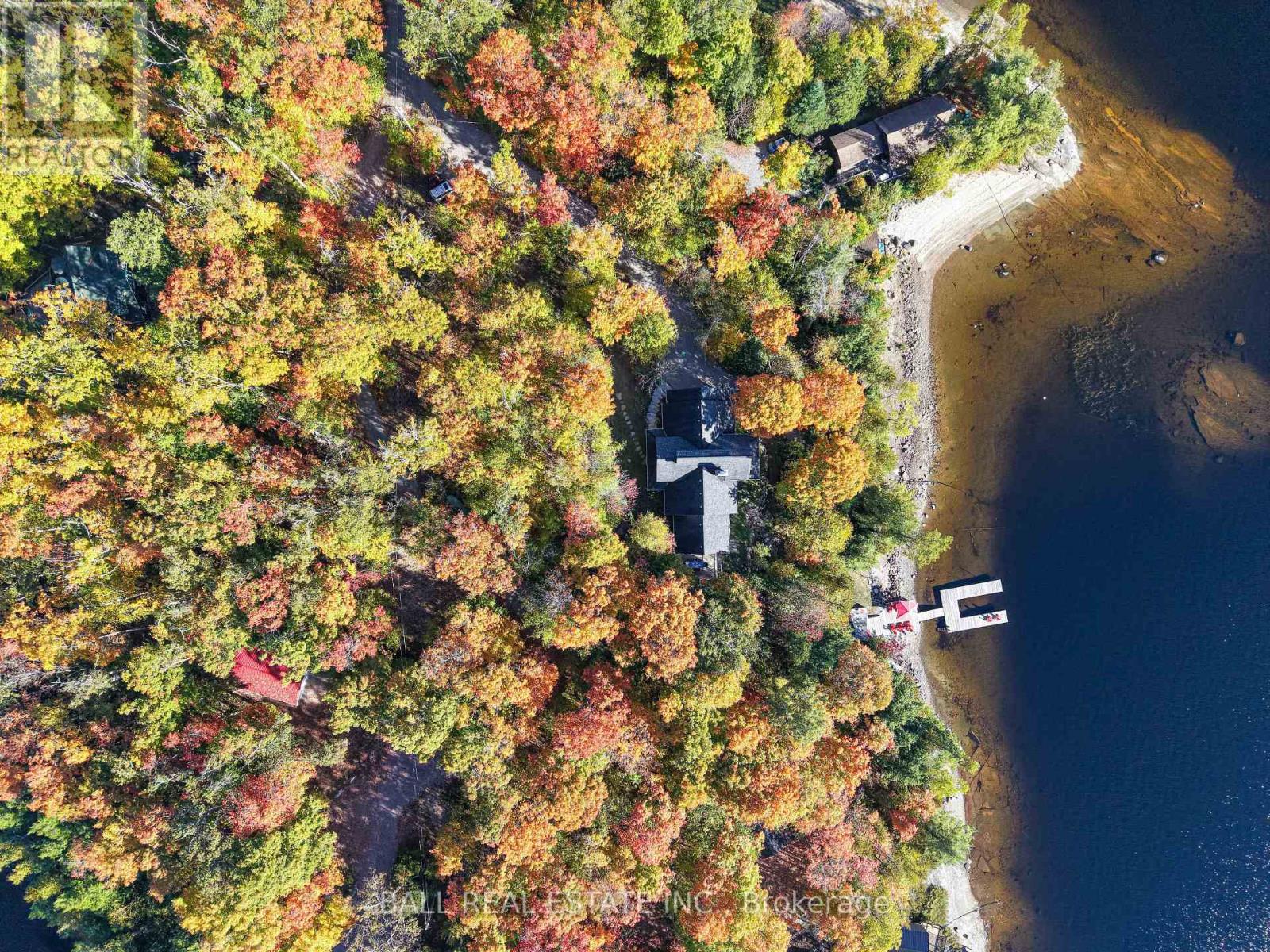 55 Fire Route 209, Trent Lakes, Ontario  K0L 1J0 - Photo 47 - X13799376