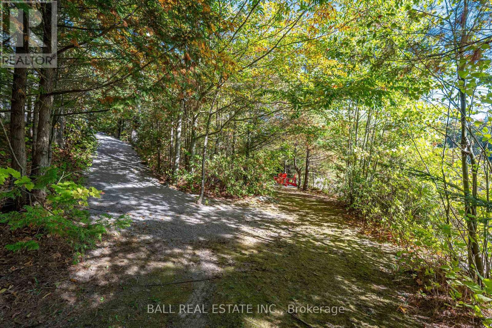 55 Fire Route 209, Trent Lakes, Ontario  K0L 1J0 - Photo 5 - X13799376