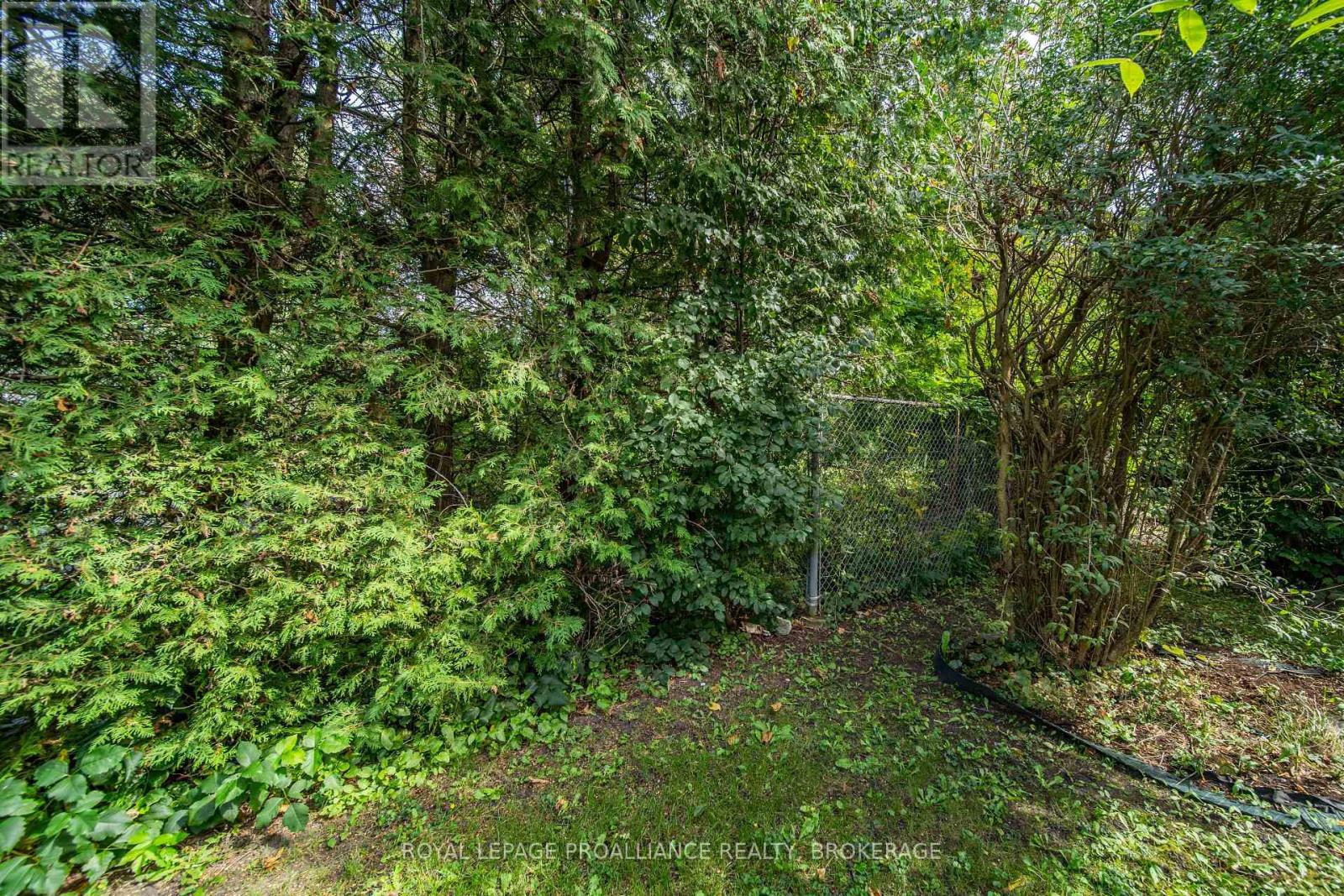 23 - 4427 Bath Road, Loyalist, Ontario  K7N 1A1 - Photo 29 - X13799420