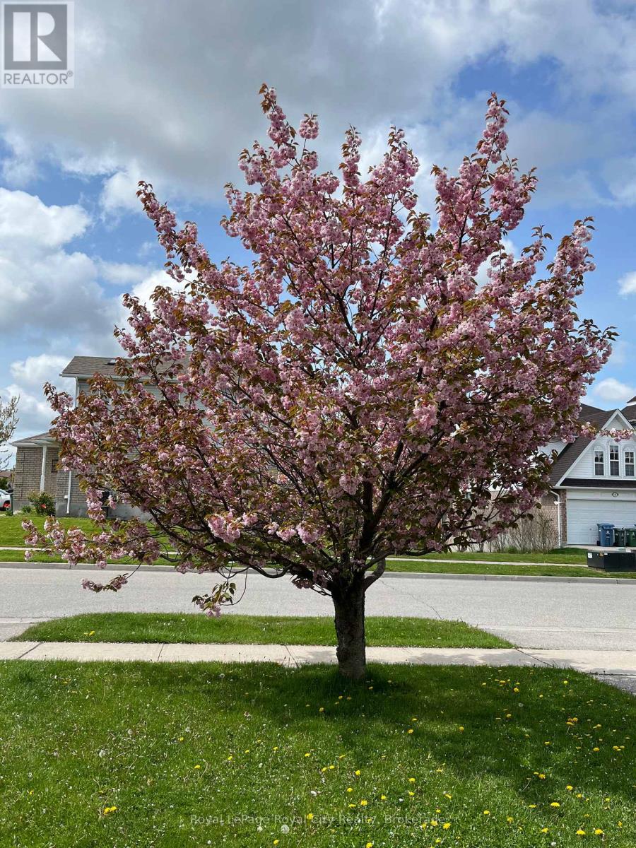3 Munroe Crescent, Guelph, Ontario  N1G 5E6 - Photo 34 - X13791556