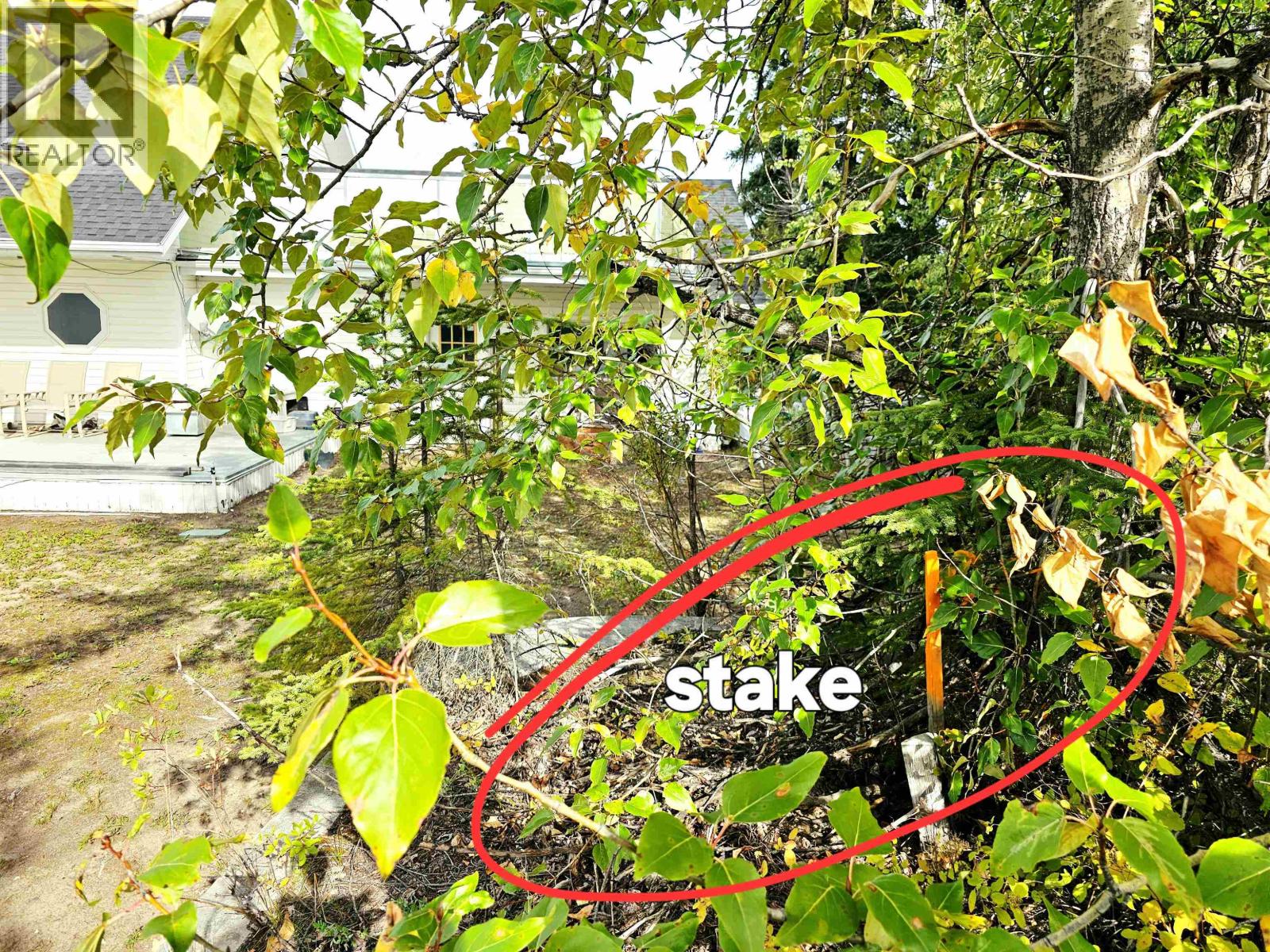 625 Casimir Avenue, Burns Lake, British Columbia  V0J 1E0 - Photo 9 - R3166620