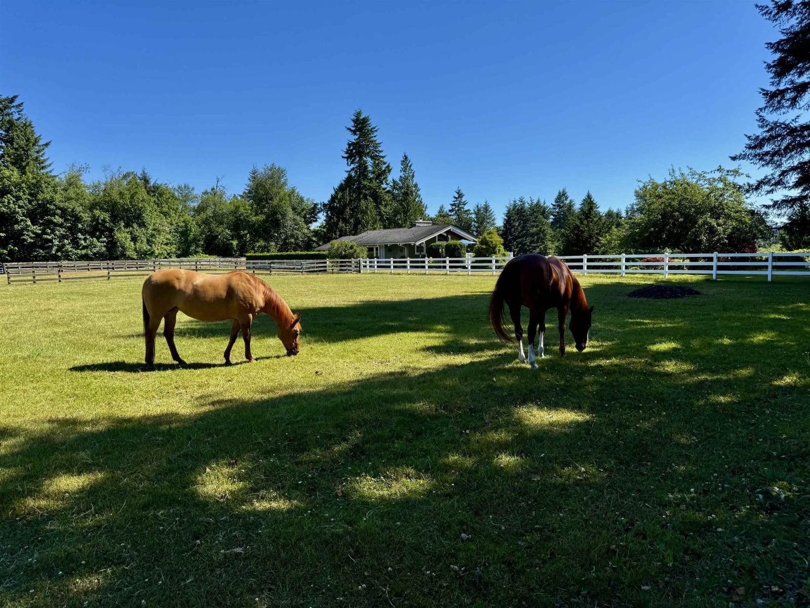 25177 64 AVENUE, langley, British Columbia