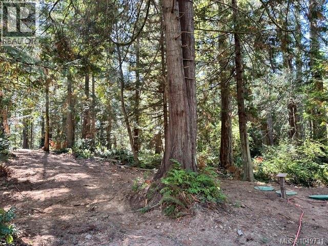 80 Blue Heron Rd, Thetis Island, British Columbia  V0R 2Y0 - Photo 31 - 1049731