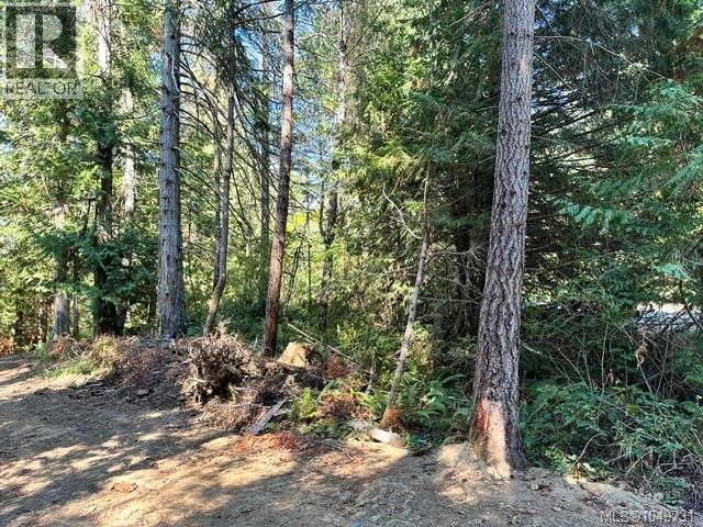 80 Blue Heron Rd, Thetis Island, British Columbia  V0R 2Y0 - Photo 35 - 1049731