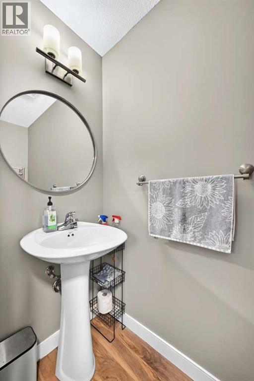 303 Saddlebrook Circle Ne, Calgary, Alberta  T3J 0K1 - Photo 20 - A2345310