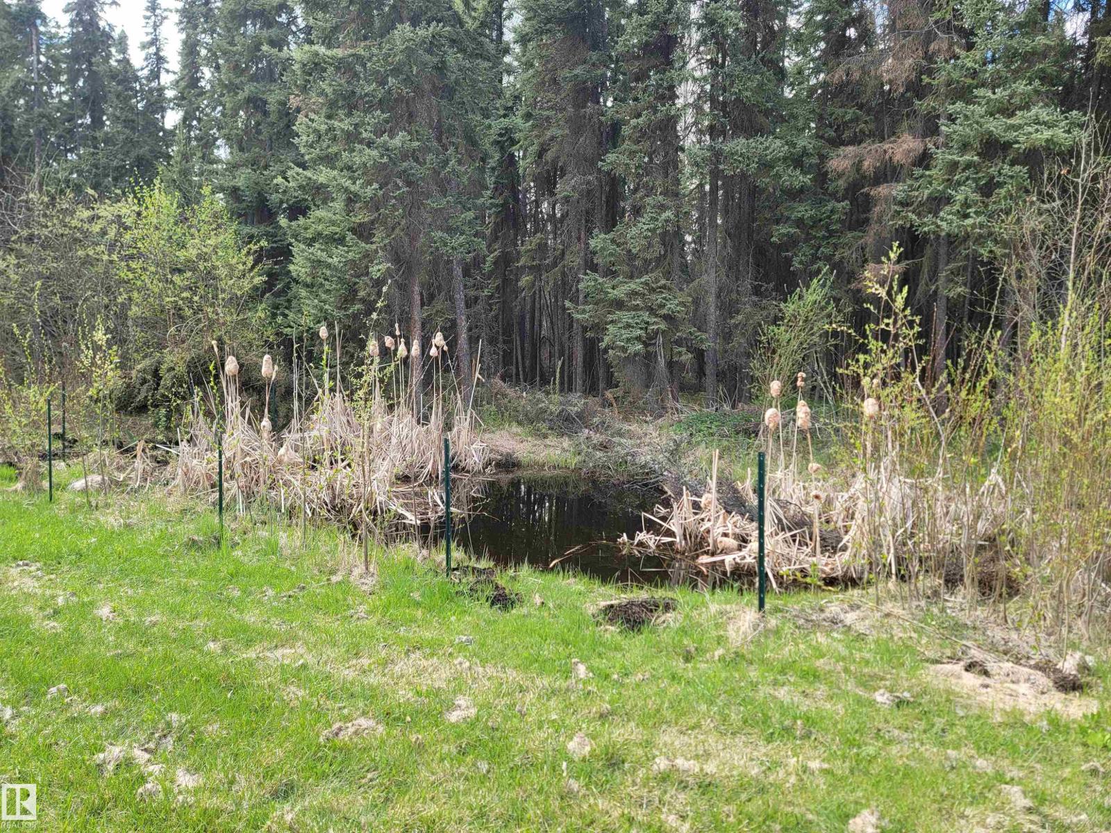 624072 Rge Road 241, Rural Athabasca County, Alberta  T0G 1Z0 - Photo 16 - E4490913