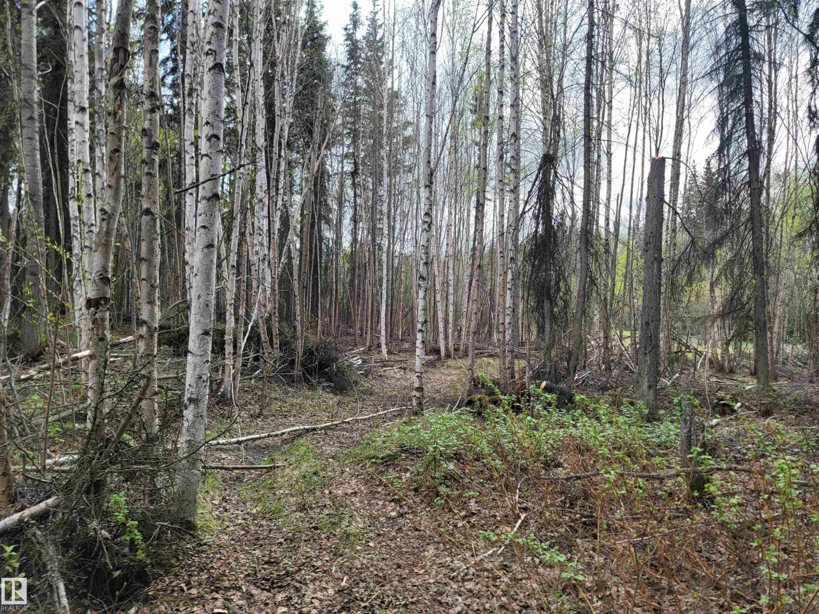 624072 Rge Road 241, Rural Athabasca County, Alberta  T0G 1Z0 - Photo 22 - E4490913