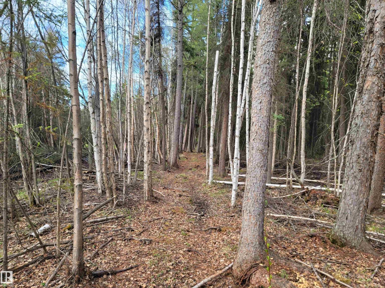 624072 Rge Road 241, Rural Athabasca County, Alberta  T0G 1Z0 - Photo 23 - E4490913