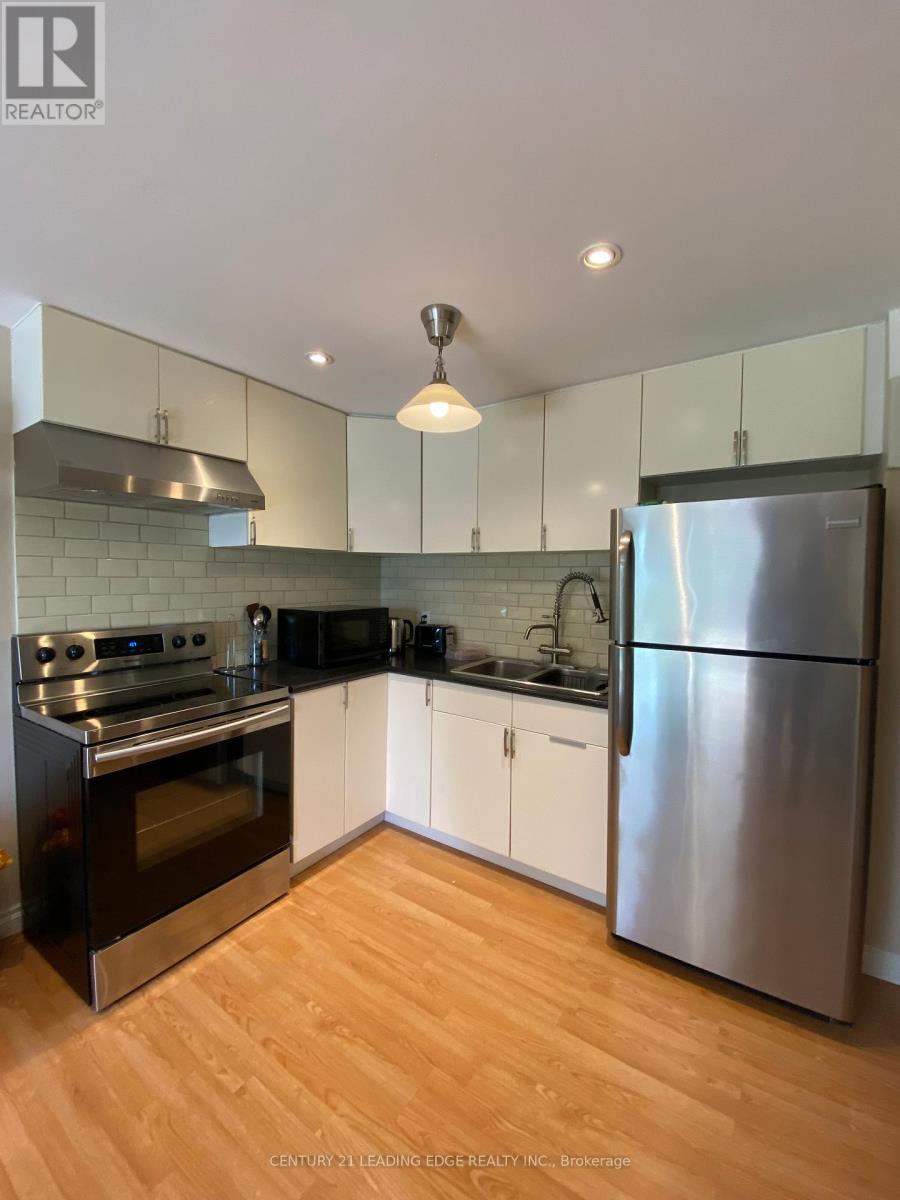 Bsmt - 24 Dairy Drive, Toronto (Clairlea-Birchmount), Ontario  M1L 0G2 - Photo 4 - E13799880