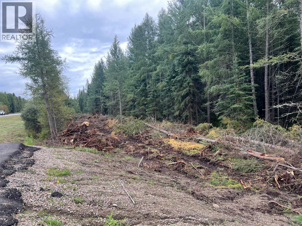 Lot 7 Twp Rd 534, Rural Yellowhead County, Alberta  T7E 1V6 - Photo 15 - A2323319