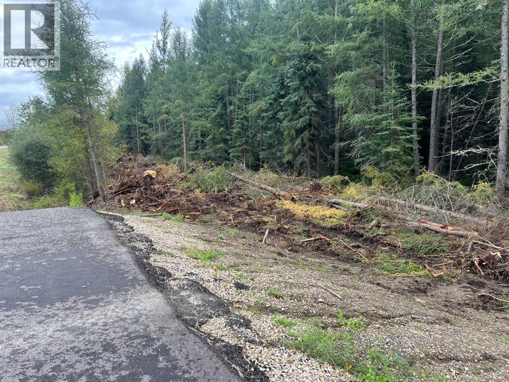 Lot 7 Twp Rd 534, Rural Yellowhead County, Alberta  T7E 1V6 - Photo 14 - A2323319