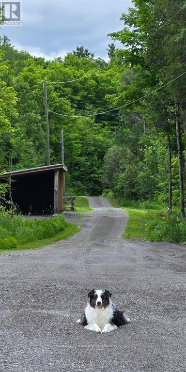 466 Stewartville Road, Mcnab/braeside, Ontario  K0A 3L0 - Photo 8 - X13798380