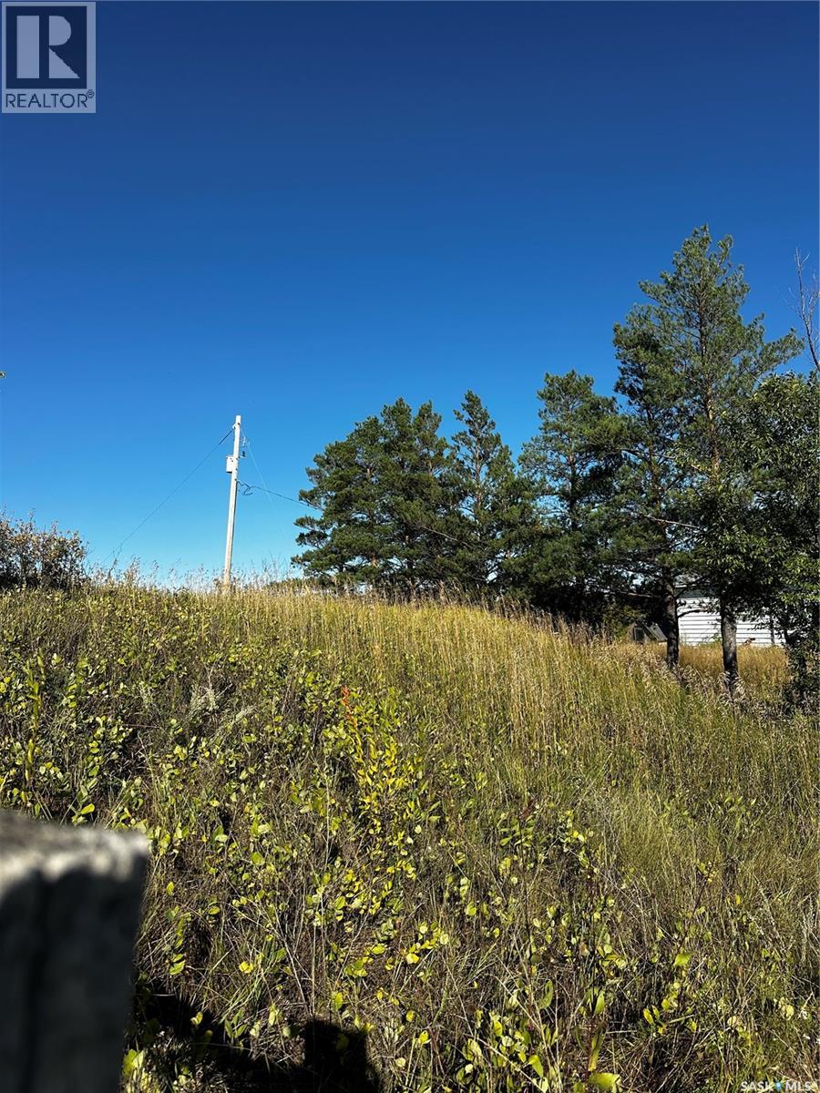 3.15 Acres Qu'apelle Valley, Longlaketon Rm No. 219, Saskatchewan  S0G 0J5 - Photo 21 - SK043562