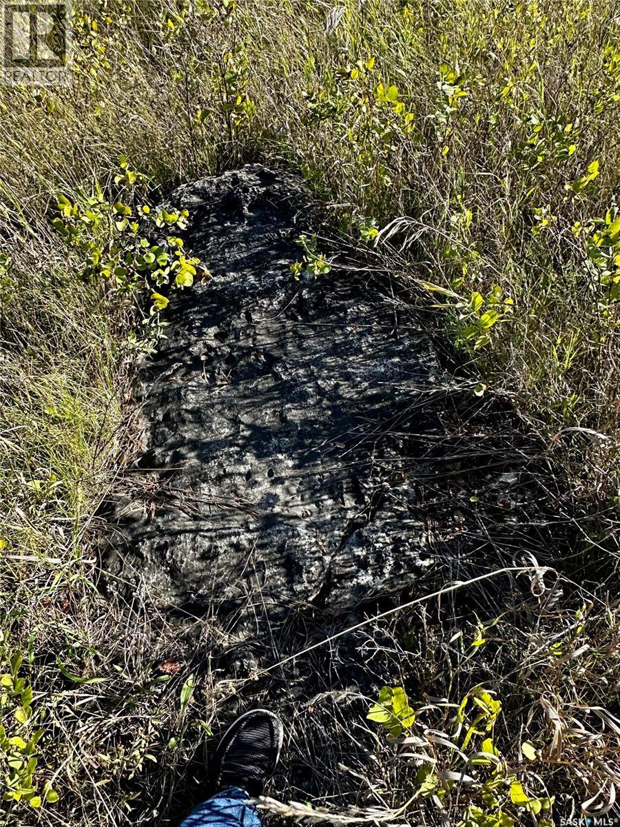 3.15 Acres Qu'apelle Valley, Longlaketon Rm No. 219, Saskatchewan  S0G 0J5 - Photo 20 - SK043562