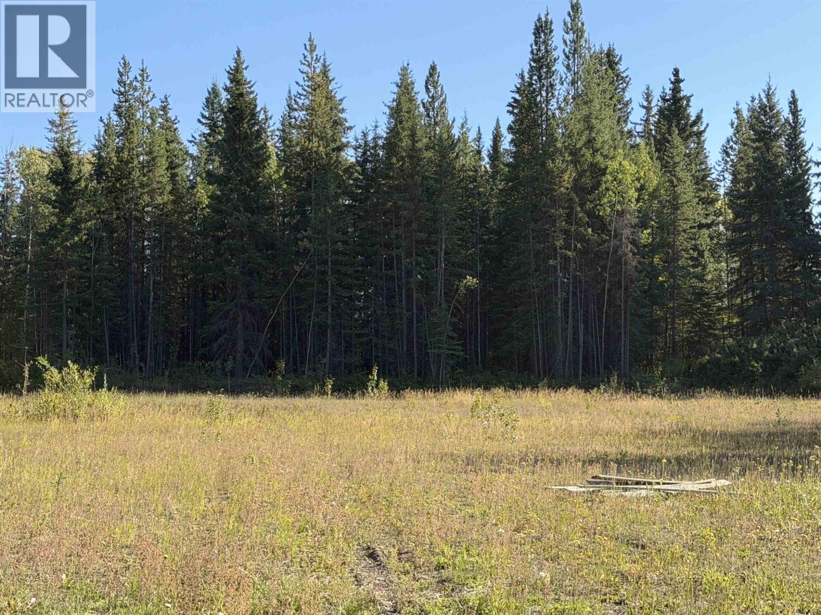 2002 Pioneer Road, Houston, British Columbia  V0J 1Z1 - Photo 17 - R3167070
