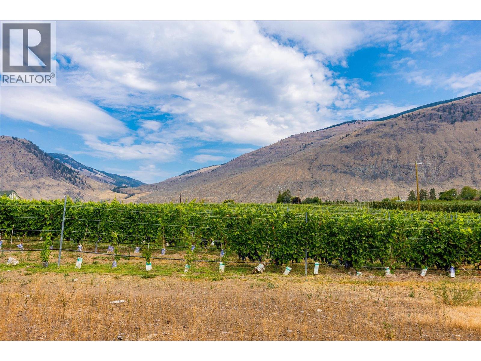 2025 Surprise Drive, Cawston, British Columbia  V0X 1C2 - Photo 6 - 10399008