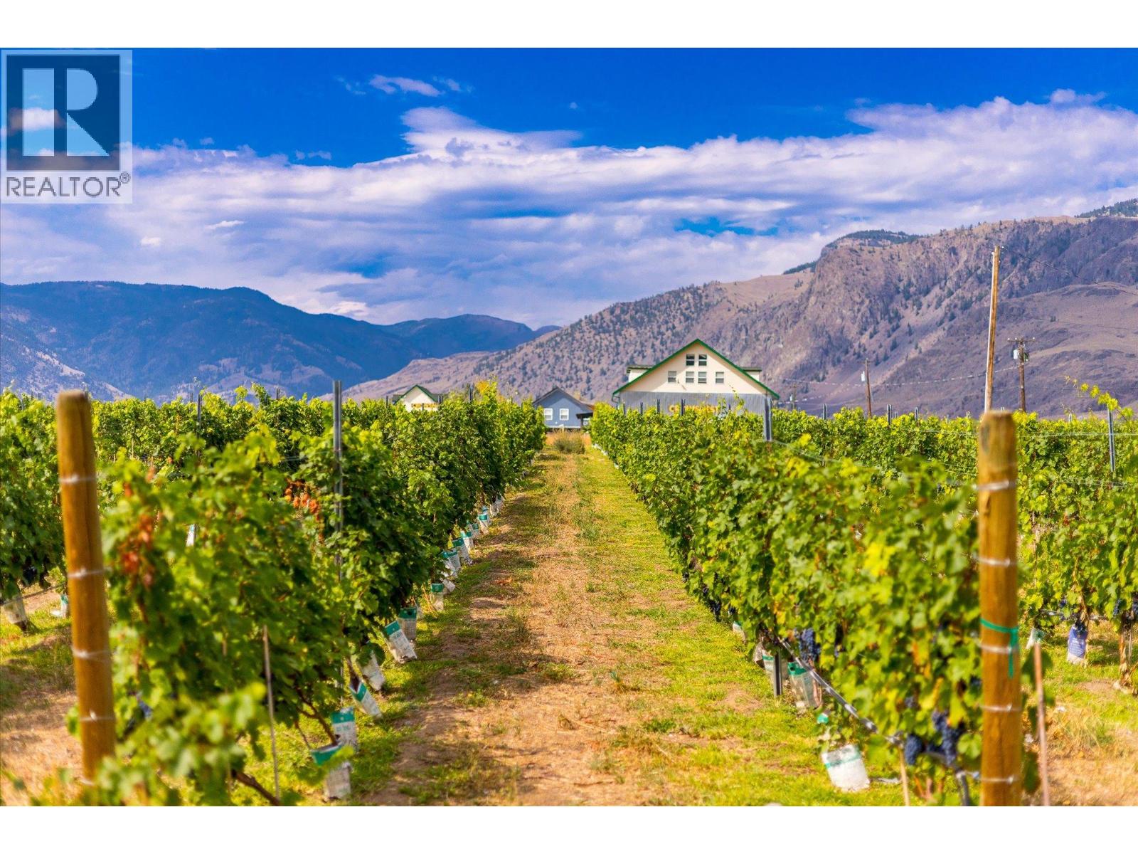 2025 Surprise Drive, Cawston, British Columbia  V0X 1C2 - Photo 4 - 10399008