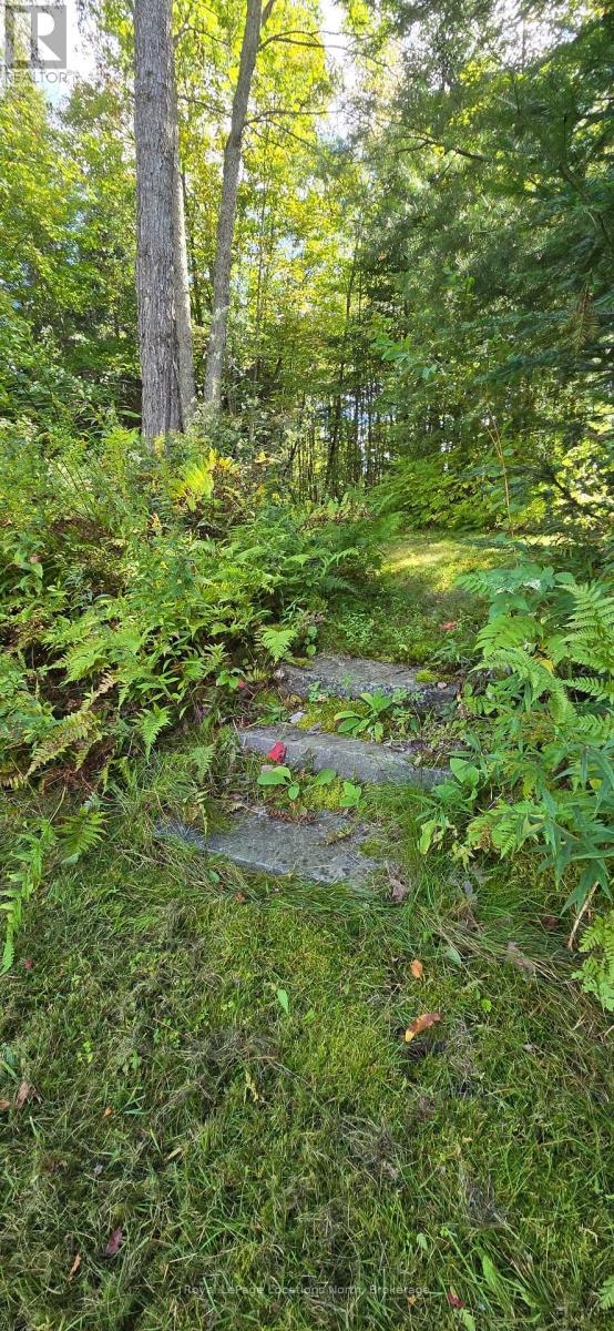 64 Yearley Road, Mcmurrich/monteith, Ontario  P0A 1Y0 - Photo 44 - X13800378