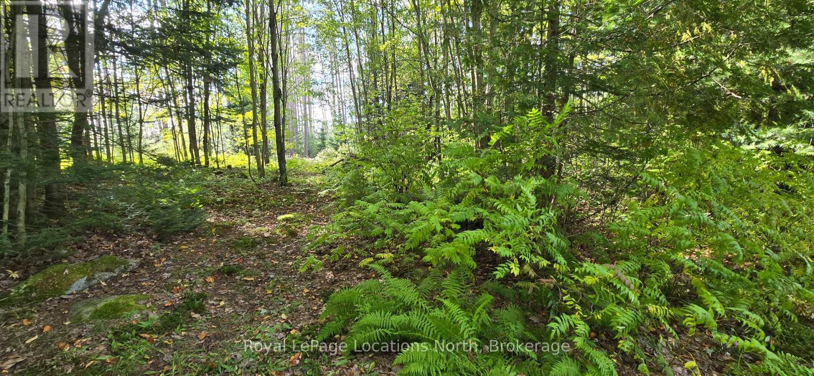 64 Yearley Road, Mcmurrich/monteith, Ontario  P0A 1Y0 - Photo 46 - X13800378