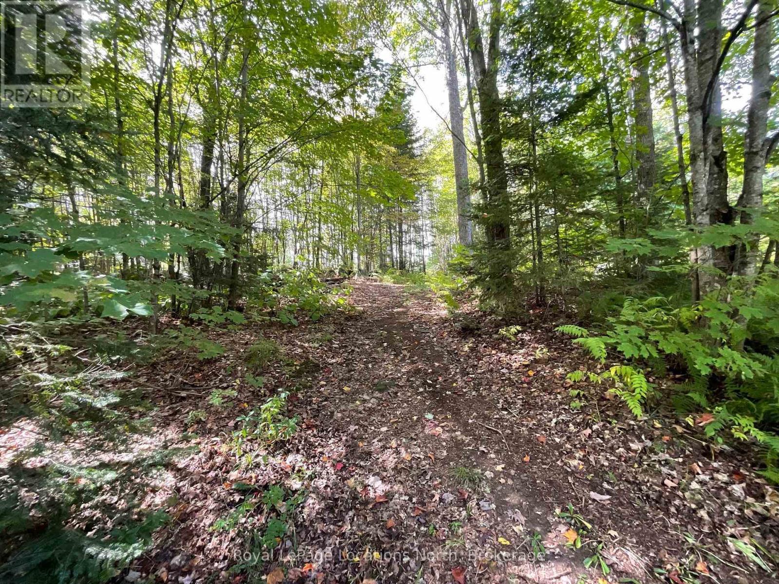 64 Yearley Road, Mcmurrich/monteith, Ontario  P0A 1Y0 - Photo 47 - X13800378